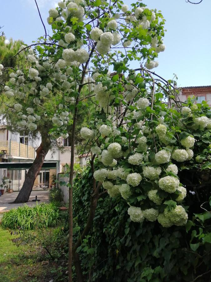 Chambre D'Hotes Pmr Hildegarde Moissac Bagian luar foto